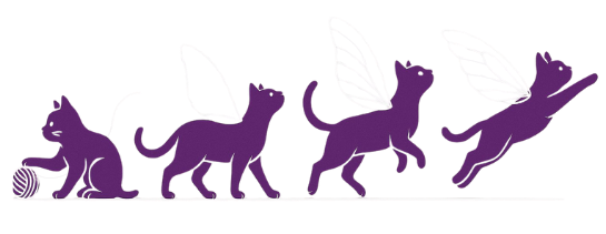 Process cats evolution